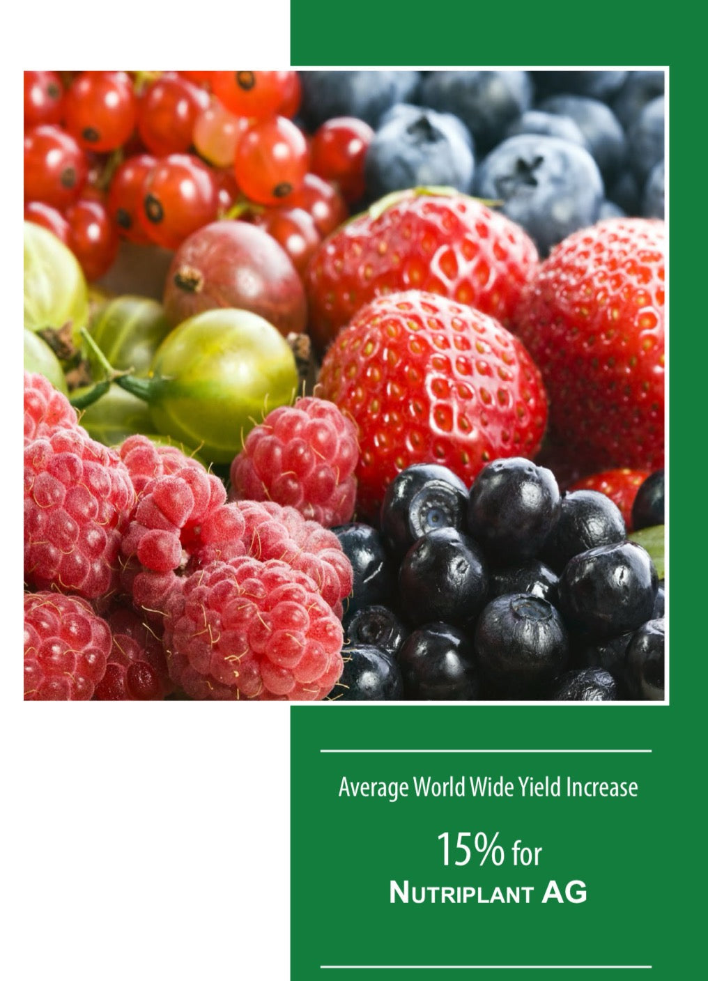 NUTRIPLANT AG: The Essential Foliar Nutritional Supplement for Berries