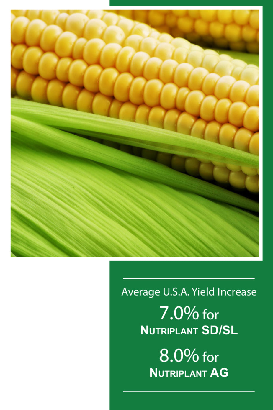 Boost Your Corn Yields: Discover the Power of NUTRIPLANT SEED TREATMENT and NUTRIPLANT AG